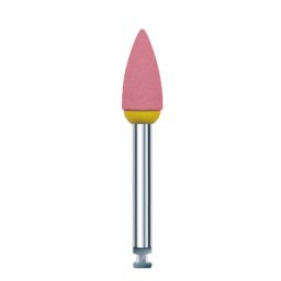 StarGloss R2530RA rosa Spitze (6) 